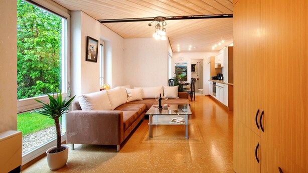 A modern living room with a sofa, coffee table, and a potted plant. - Apartment 'Stumpp´s Appartement' with Private Terrace, Wi-Fi and Air Conditioning (Heroldstatt)