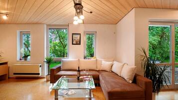 Fernseher, Stereoanlage