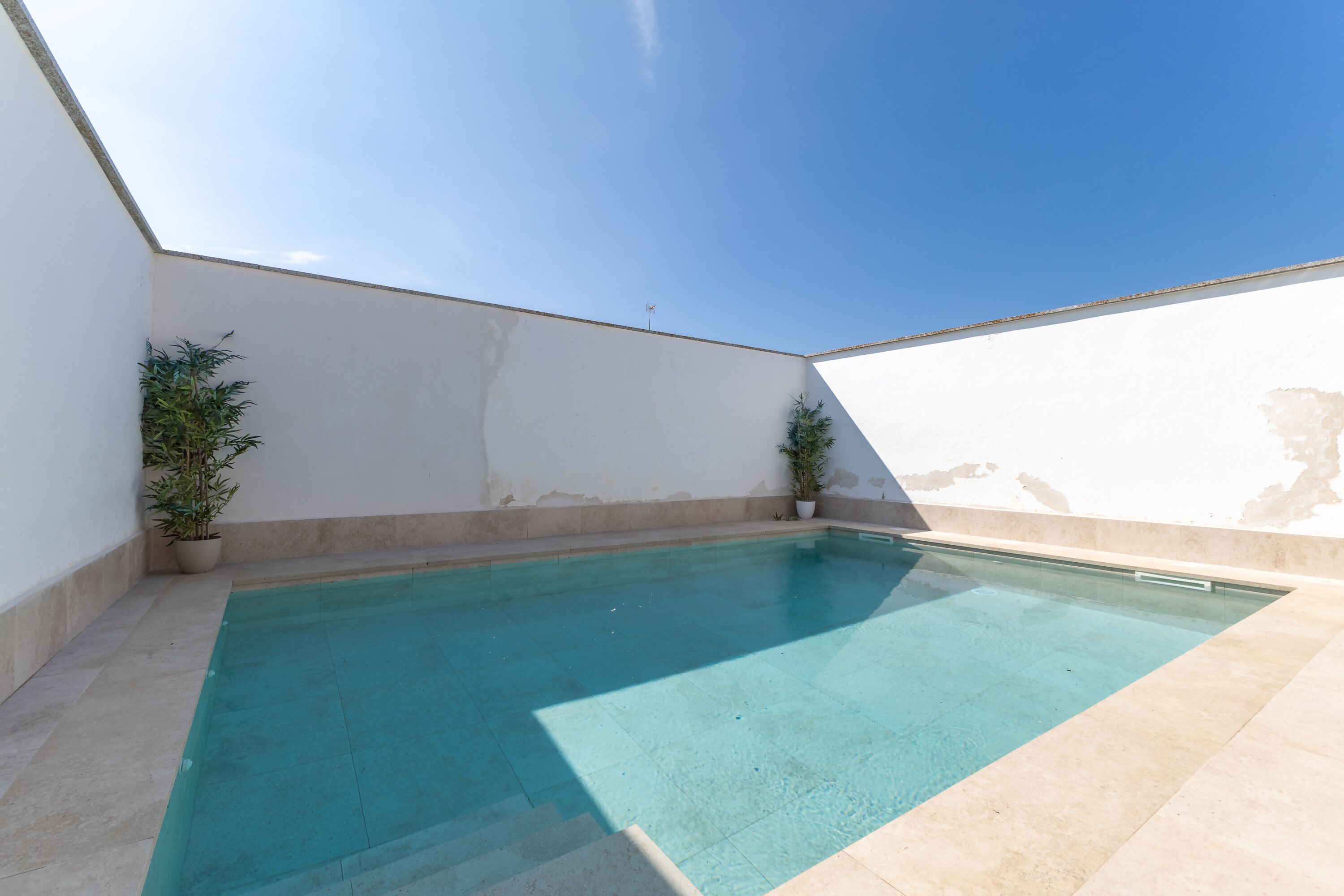 Ein Pool auf dem Dach mit blauem Himmel darüber, umgeben von weißen Mauern und Topfpflanzen.