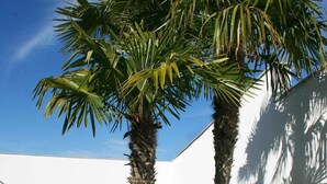 A pool area with two palm trees, a white wall, and a clear blue sky. - Callejón del Pozo V, accommodation Puy du Fou (Galvez)