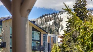 A modern building with large windows, surrounded by trees and a snowy mountain in the background.