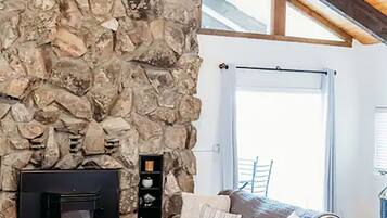 Smart TV, fireplace, books