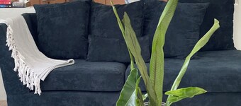 REDY BUGS l YOUR RUSTIC EXPERIENCE 6-MIN FROM RICKS CAFE & 12-MIN TO 7 MILE 