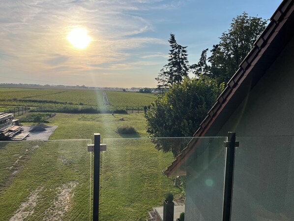A view from a balcony overlooking a vineyard with a clear sky and the sun low on the horizon. - Gemütliche Dachgeschoss-ferienwohnung für 2 (Rubkow)