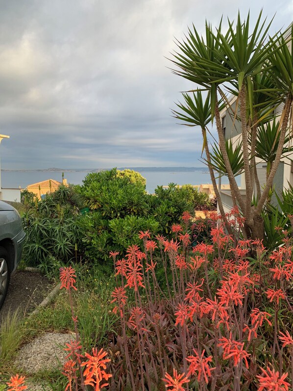 Overnatningsstedets område