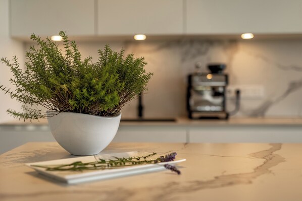 Une plante en pot est posée sur un plan de travail en marbre dans une cuisine moderne, avec une machine à café en arrière-plan.