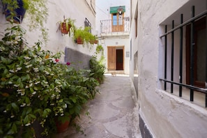 Un estrecho callejón con plantas en macetas, un perro y un edificio con puerta de madera y ventana con rejas.