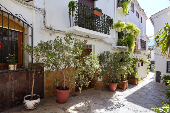 Detalle del exterior