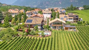Ein Wohngebiet mit Häusern, Weinbergen und Bergen im Hintergrund.