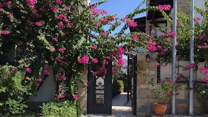 A stone pathway leading to a boutique hotel entrance with a sign, surrounded by lush greenery and vibrant pink bougainvillea flowers. - Cotton Boutique Hotel (Bodrum)