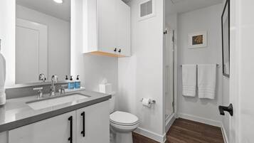 Shower, hair dryer, towels