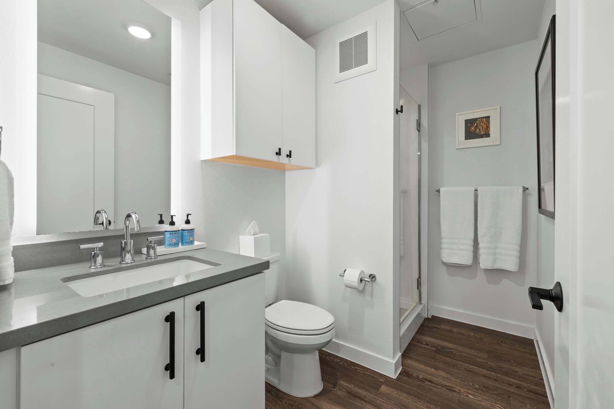Shower, hair dryer, towels, shampoo