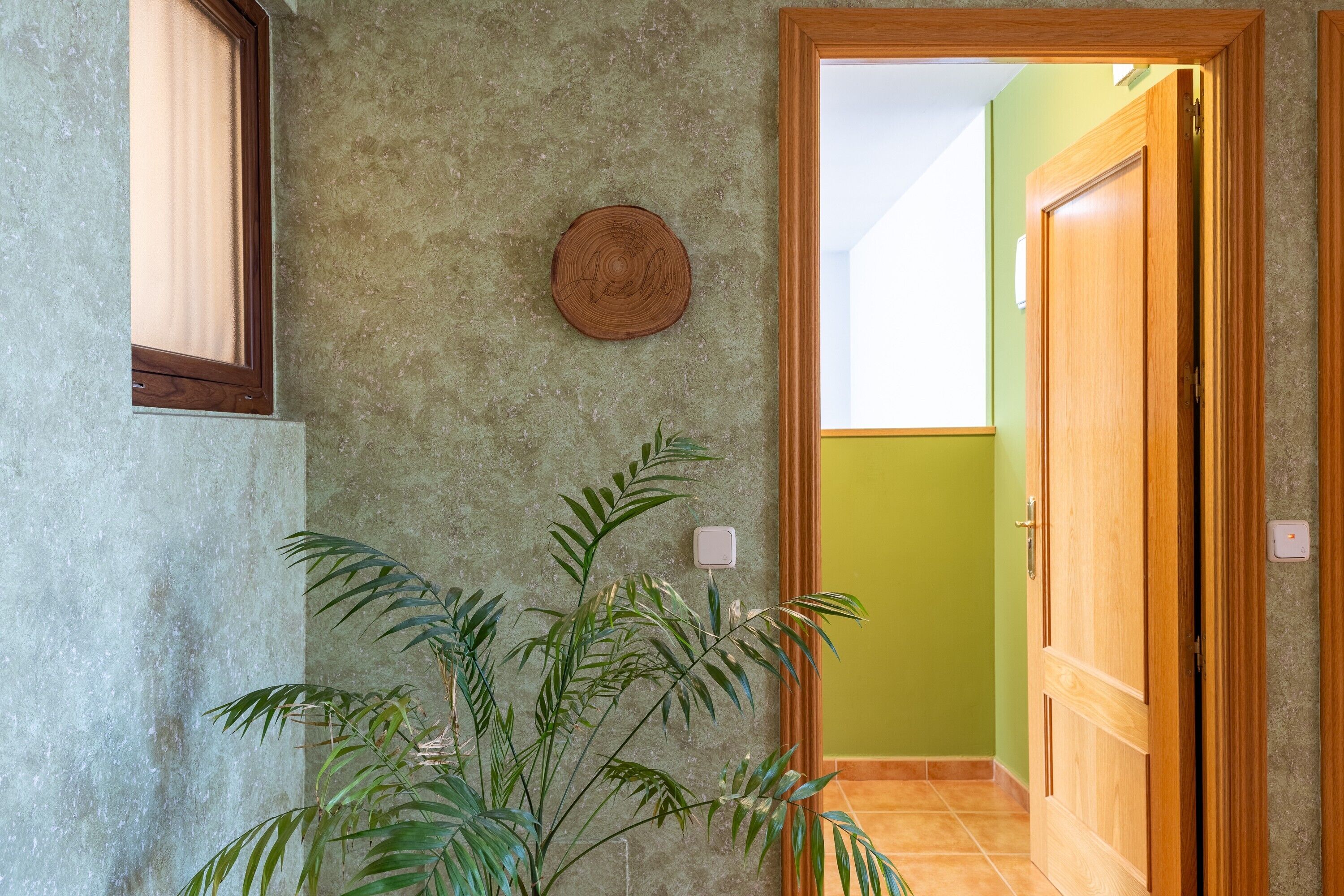 Un couloir avec une plante, une porte en bois et un interrupteur fixé au mur.