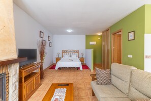 TV, fireplace, DVD player - Studio Apartment 'La Casa De Dafne Acebo' with Mountain View, Shared Terrace and Shared Garden (SANTO TOME DEL PUERTO)