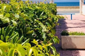 Un sentier bordé de plantes verdoyantes et agrémenté d’un banc, qui mène à un point de vue sur la mer.