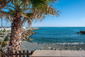Playa en los alrededores 