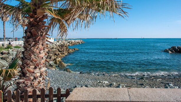 Une plage avec un palmier, un rivage rocheux et une mer d’un bleu limpide.
