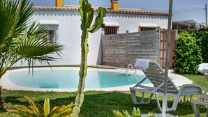 A pool with lounge chairs and a cactus in a backyard. - Holiday Home 'Casa El Mirlo' with Private Pool, Wi-Fi and Air Conditioning (Conil de la Frontera)