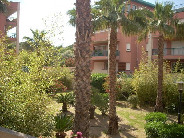 A courtyard with palm trees, a building with balconies, and various plants.