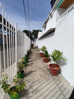 Property grounds - Ohana House (San Andrés y Providencia)