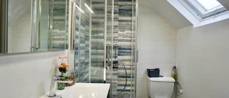 A bathroom with a glass-enclosed shower, a white sink, a toilet, and a skylight.