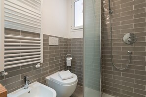 Shower, hair dryer, bidet, towels