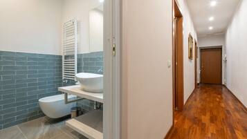 Shower, hair dryer, bidet, towels