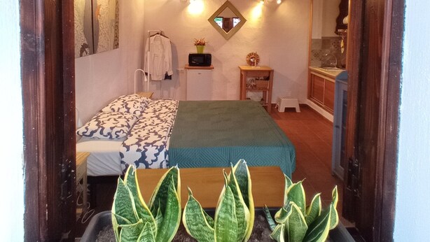 Une chambre à coucher avec un lit, une table de chevet, une lampe et une petite plante.