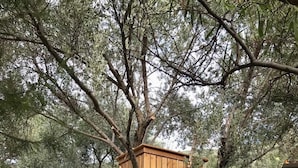住宿场地