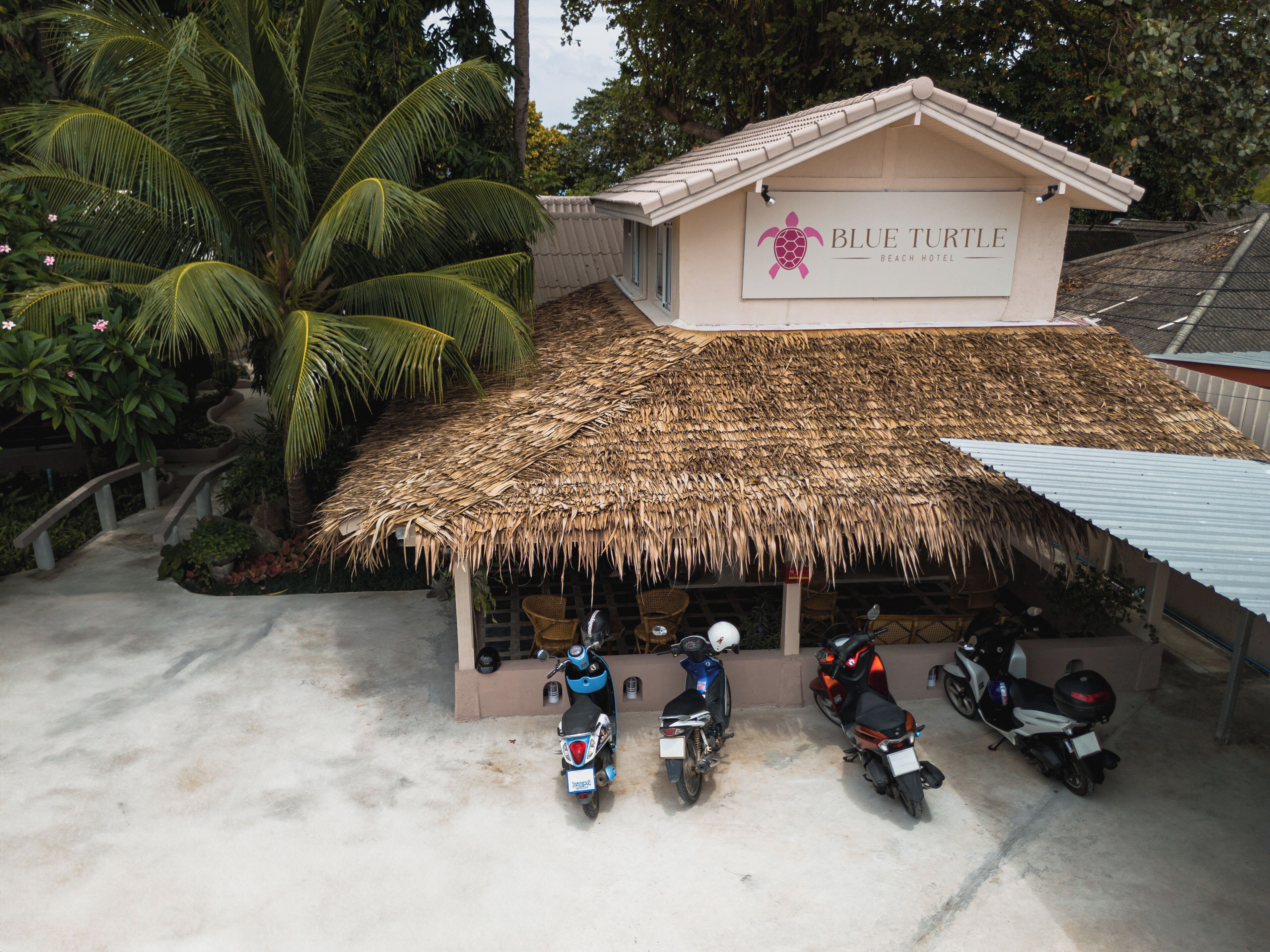 A beach hotel with a thatched roof and a sign reading "Blue Turtle Beach Hotel". There are several scooters parked in front.