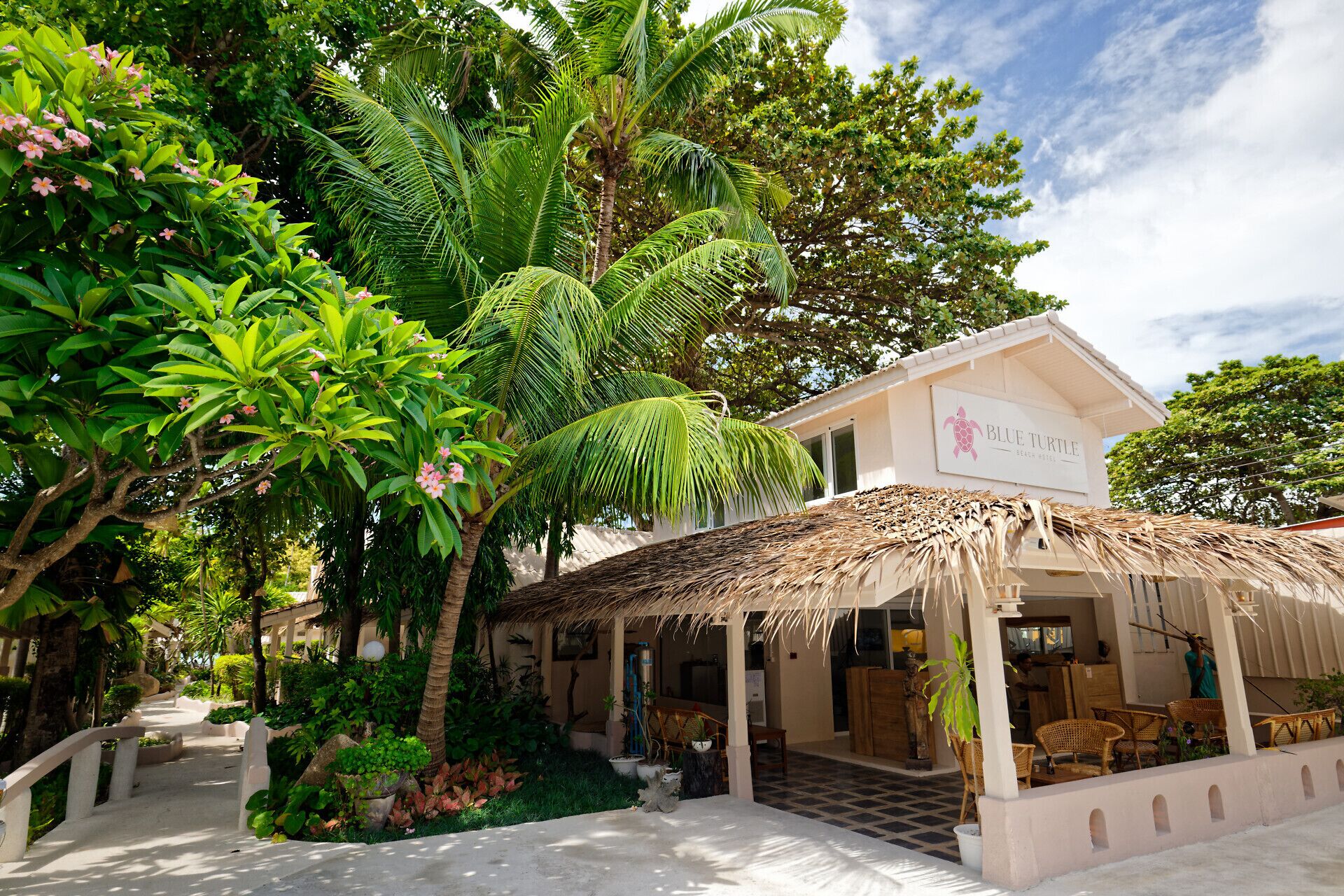 A beachfront hotel with a thatched roof patio, palm trees, and a sign reading "Blue Turtle Beach Hotel".