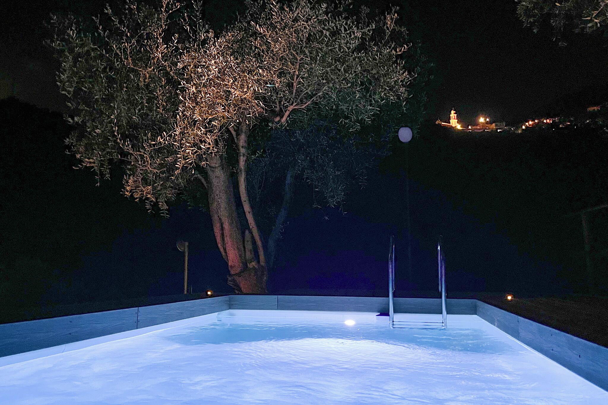 Une piscine la nuit, avec un arbre et des lumières au loin.