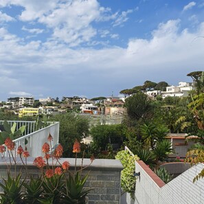 Property grounds - 5 minutes from the sea, the Poseidon Gardens with swimming pool, wifi, parking. (Forio)