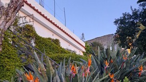 Un giardino con diverse piante e una scultura in vetro decorativa.