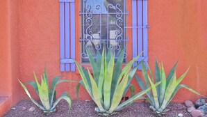 A building with a window featuring blue shutters and a decorative metal grille.