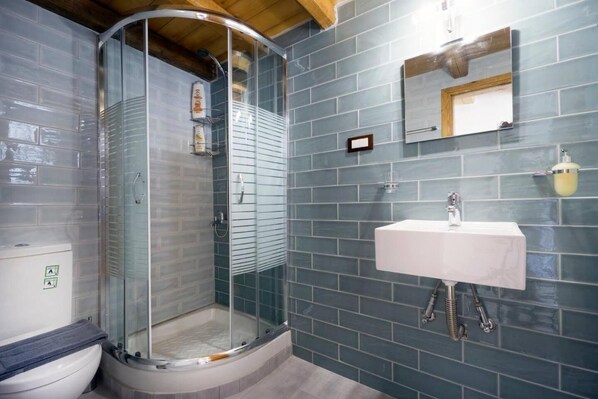 Hair dryer, towels, soap, toilet paper