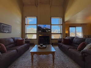Smart TV, fireplace, DVD player, books