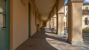 Apartment | 1 bedroom