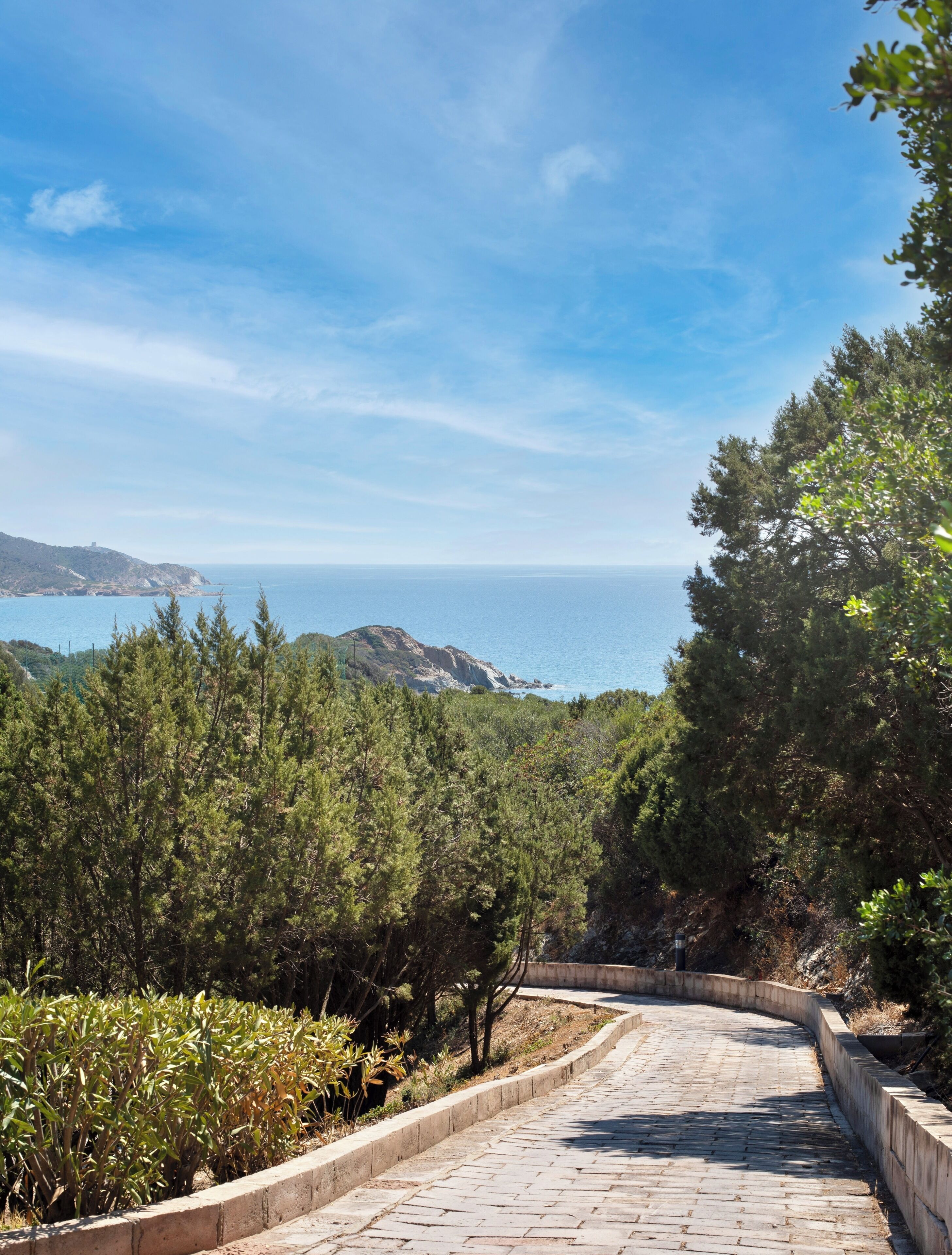Un sendero pavimentado que atraviesa un área boscosa, con vista al mar y colinas distantes.