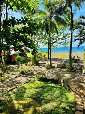 Un jardin tropical avec un sentier menant à une plage.