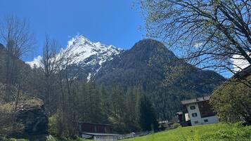 Apartment, 3 Bedrooms, Smoking, Balcony | Property grounds