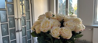 Villa with central location close to beach in Fridhem Malmö. Perfect for groups