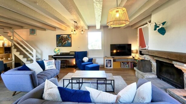 TV, fireplace, books