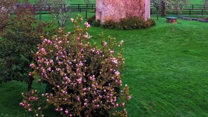 A rustic stone building with a sloped roof, surrounded by a well-maintained lawn and flowering trees. - DOMAINE DE L'ISLE MANIERE APARTMENT 6 PERSONS (near mont saint Michel) (Saint-Quentin-sur-le-Homme)