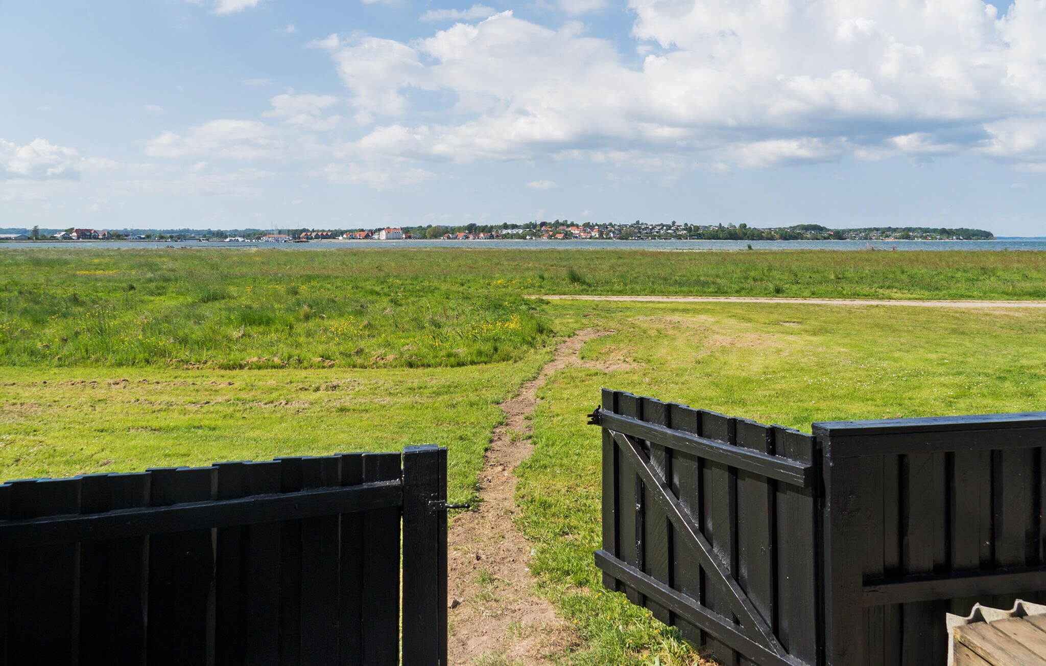 Een begroeiend veld met een pad dat naar een waterpartij leidt.