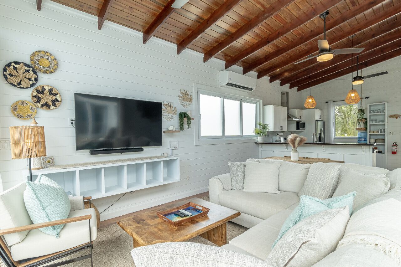 智能電視、書籍