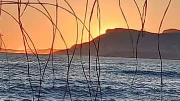 Camastros y toallas de playa