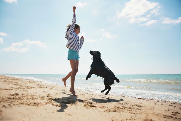 Una playa cerca