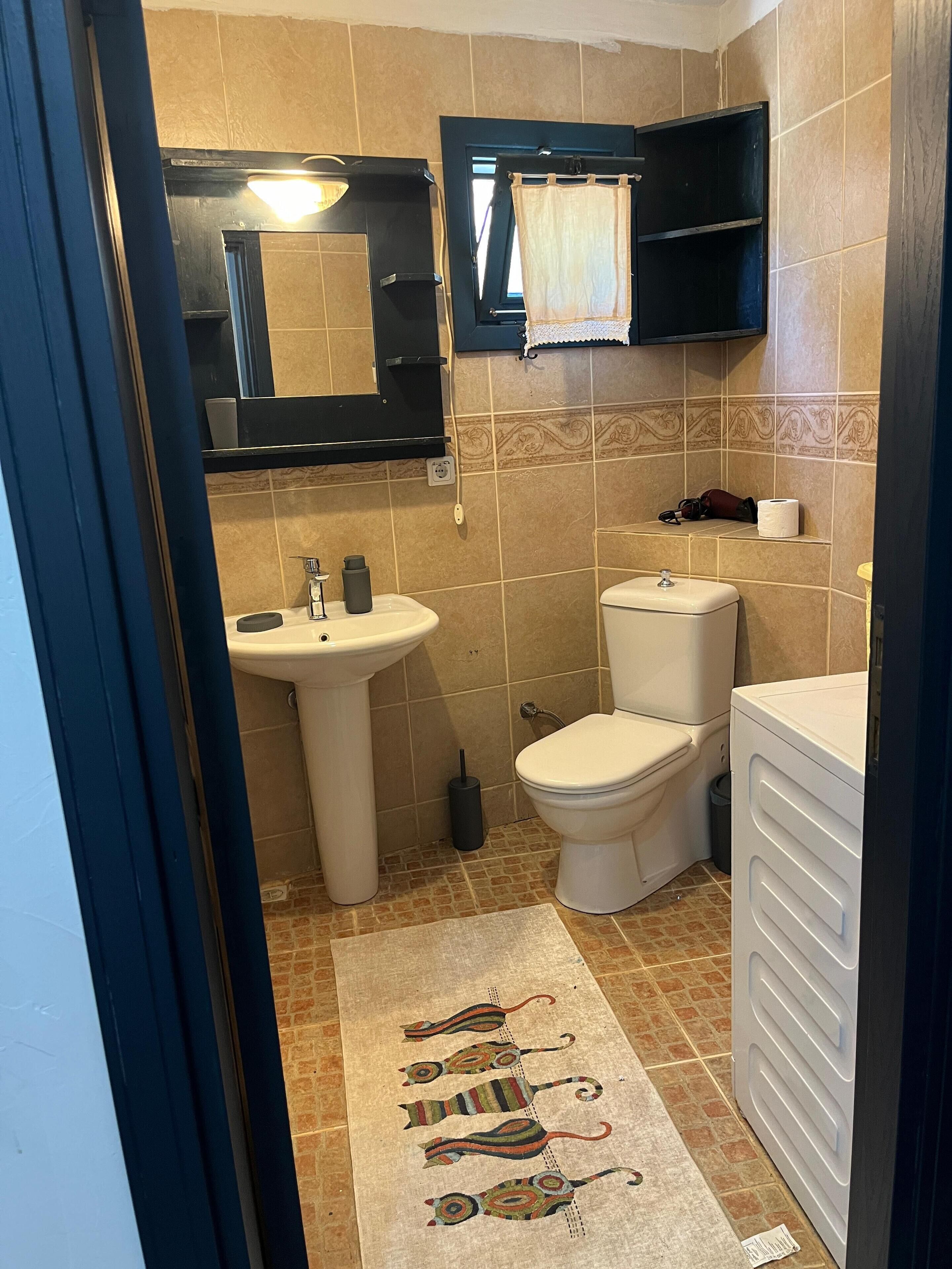 Un baño con lavabo, inodoro y lavadora.