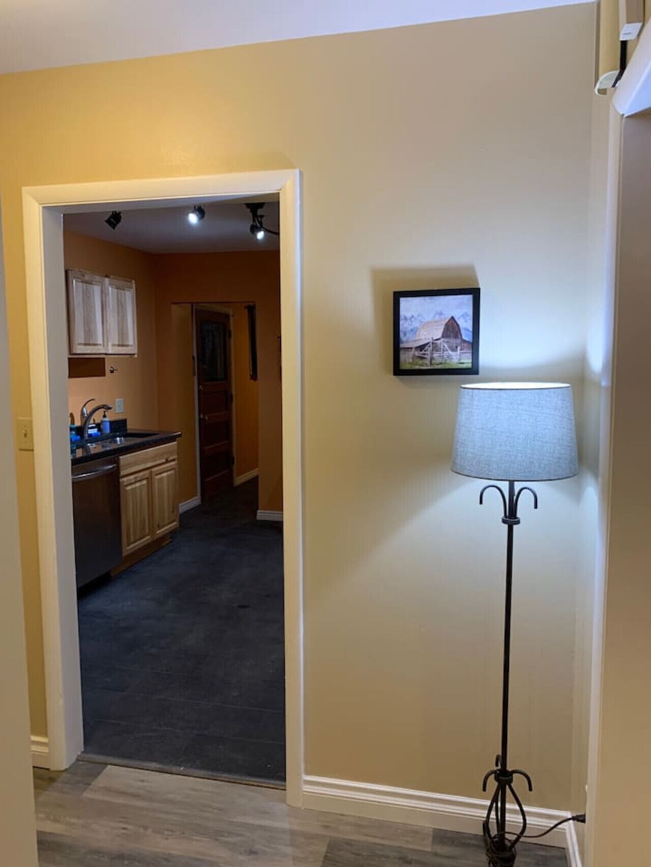 Un corridoio con una zona cucina visibile attraverso una porta aperta, una lampada da terra e un quadro appeso al muro.